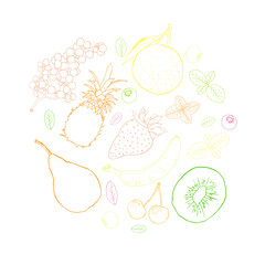 Fruit sketch art illustration circle composition
