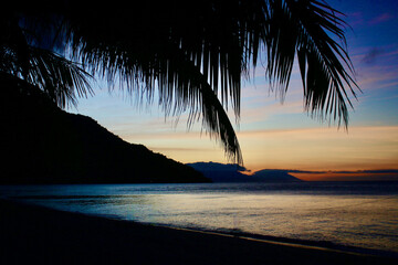 Sunset on a tropical island. View of the sea through the branches of a palm tree from the beach of a tropical island.