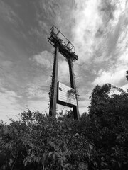 Gray scale shot of a crane standing in a field of tall bushes
