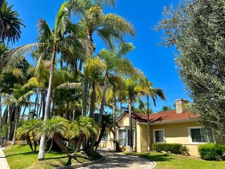 palm trees line the driveway to an apartment complex with palm trees lining the street and