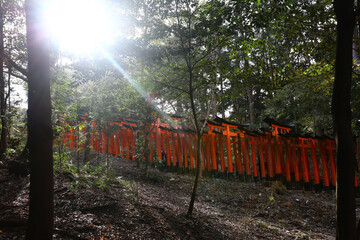 fushimi inari toris gates in kyoto japan