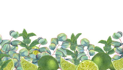 Lime, mint and eucalyptus sprigs. Juicy citrus slices, green leaves. Long horizontal banner with copy space for text. Watercolor illustration for label, package. © Masha_tolk_art