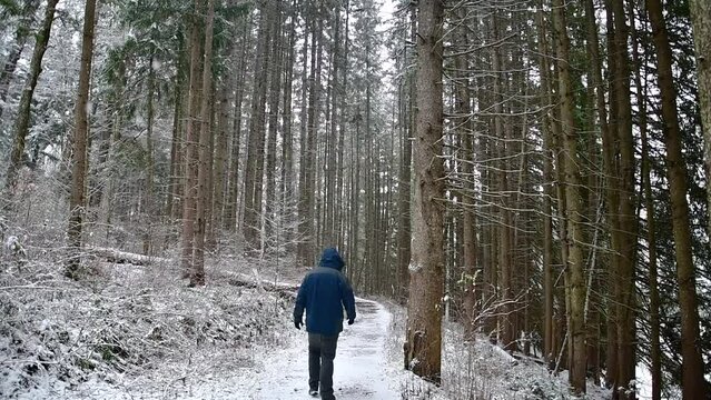 Winter hiker walking on a trail during fresh snowfall