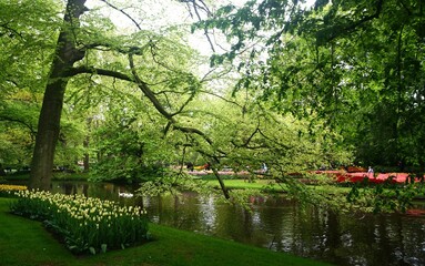spring in the park