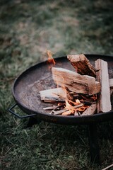 Firewood and sticks on an open firepit in the grass