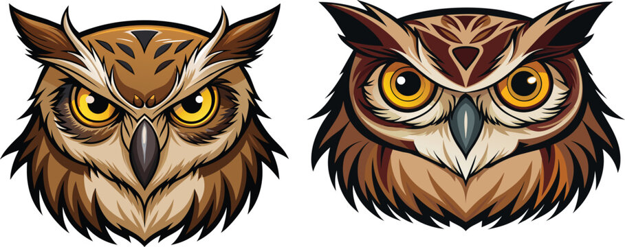 the-face-of-a-owl---high-detail---white-background .eps
