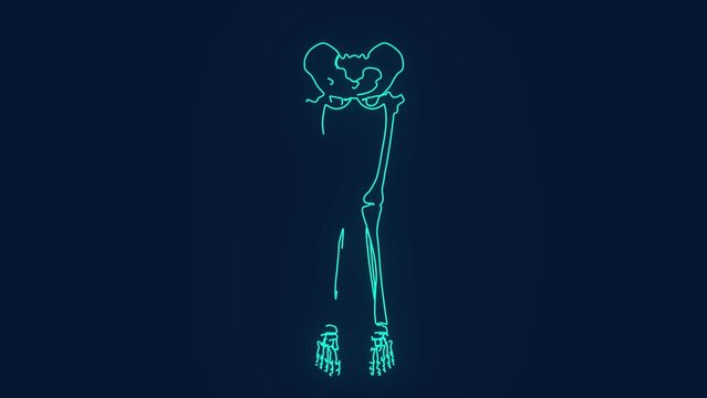 knock knees problem in human legs bones animation