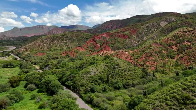 epic view of valley with lush forest, red mountains and cacti
