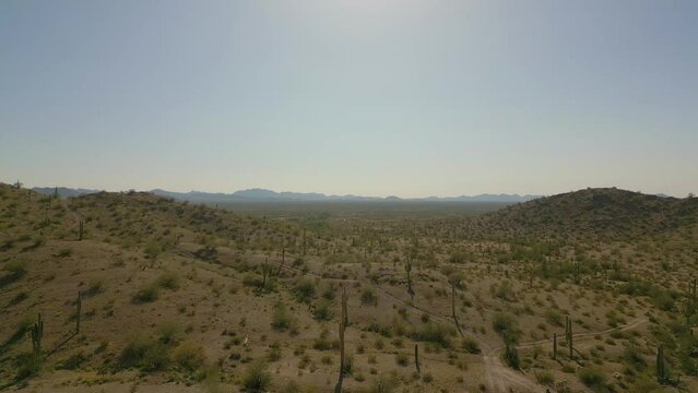 Aerial video of the dry mountains partly covered with trees on a sunny day