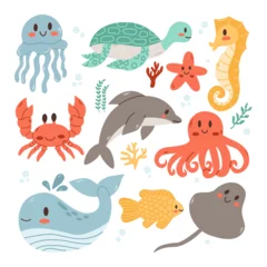 Cercles muraux Vie marine Set with hand drawn sea animals. Inhabitants of the sea world, cute, funny underwater creatures dolphin, ocean crabs, sea turtle. Flat cartoon illustration