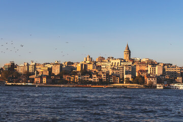 Fototapeta premium Galata Tower and Golden hhorn as seen from Eminonu pier, Istanbul skyline, birds in flight, soft evening light, clear blue waters