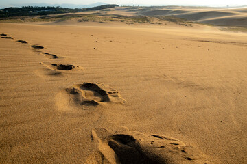 砂丘の足跡