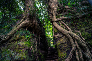 泉津の切り通し
