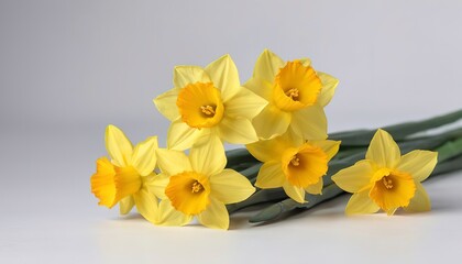 Fototapeta na wymiar bouquet of yellow daffodils on a white background