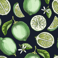 Lime fruit background. Citrus fruit sketches. Watercolor style botanical design. Exotic plants seamless pattern. Hand-drawn vector illustration. NOT AI generated - 770696727
