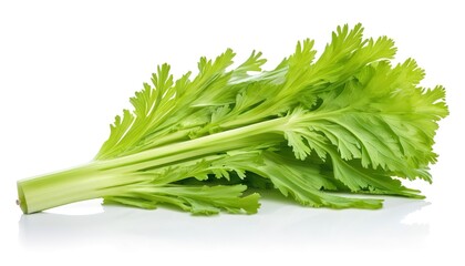 leaf of celery isolated on white background