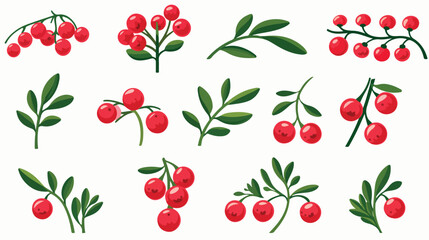 Lingonberry Branches with Oval Leaves Bearing 