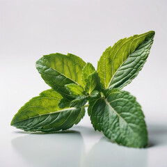 mint leaf, healthy organic food