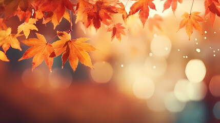 Naklejka na ściany i meble Autumn background with copy space Autumn season changes background