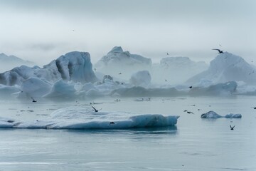 birds fly over a lake surrounded by icebergs and rocks - obrazy, fototapety, plakaty