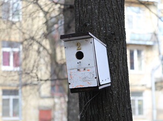 An empty white wooden birdhouse on a tree in the garden in spring