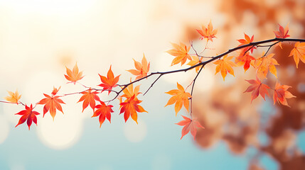 Autumn background with copy space Autumn season changes background