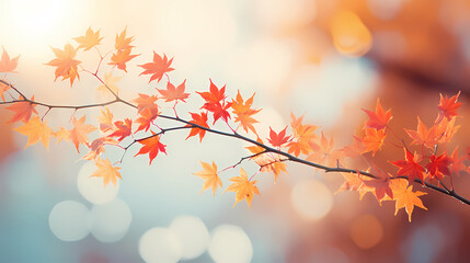 Obraz premium Autumn background with copy space Autumn season changes background