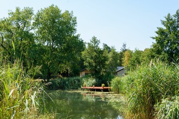 Obraz premium Landscape of a pond surrounded by greenery on a sunny day in the countryside