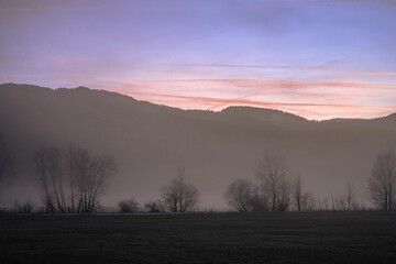 Scenic view of a snowy mountain range covered with a forest at a foggy sunset