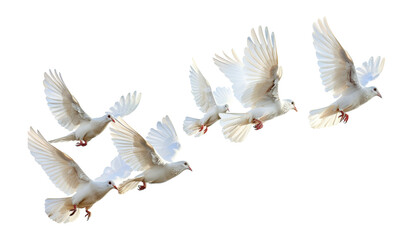 Graceful white doves flying png on transparent background - obrazy, fototapety, plakaty