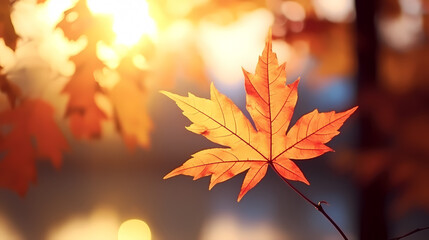 Naklejka na ściany i meble Fallen leaves in the woods in autumn