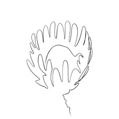 Continuous drawing of lines. Line art continuous line drawing of a flower. Vector minimalist design