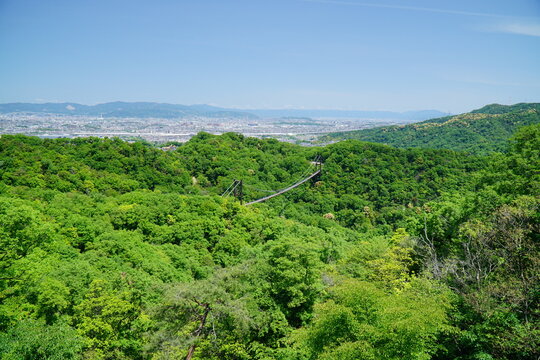 日本の春　ほしだ園地展望台からの風景