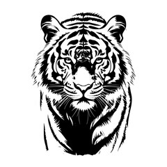 white tiger head