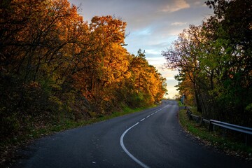 Fototapeta premium a curve in the road next to some trees with yellow leaves on them