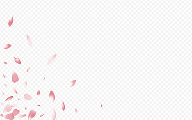 2560X1600grad-04__Pudra_sakura3_01.eps