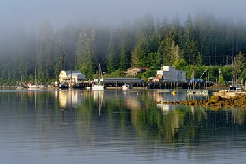 Idyllic scene of a misty morning in Winter Harbor, Vancouver Island, BC, Canada