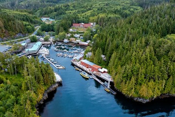 Obraz premium Aerial view of the scenic Telegraph Cove in Vancouver Island, BC, Canada