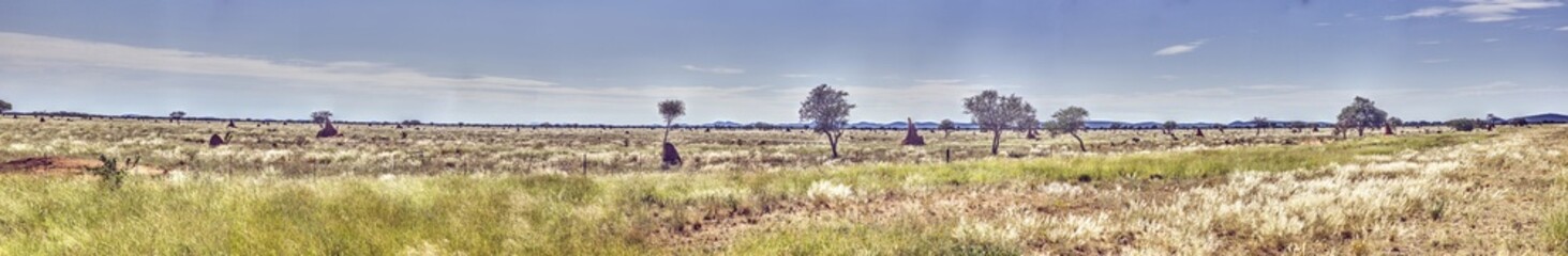 Panoramic view of a serene farmland near Etosha National park in Namibia - obrazy, fototapety, plakaty