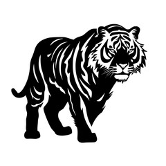 tiger