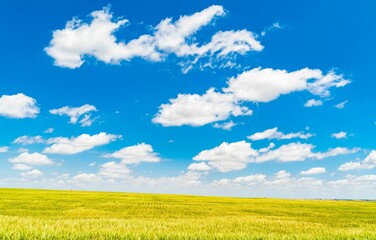 Vast expanse of lush green grass, set against a backdrop of partly cloudy skies and bright blue sky