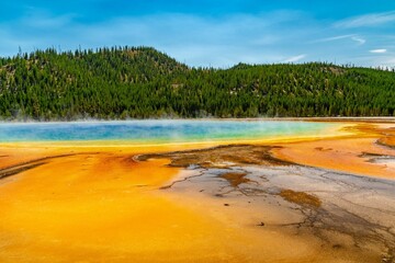 Picturesque landscape featuring a Grand Prismatic surrounded by a lush forest