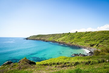 Scenic view of a lush hillside situated near a crystal-clear ocean - obrazy, fototapety, plakaty