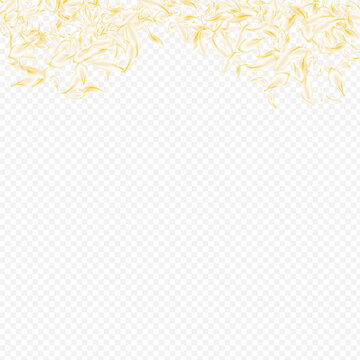 Yellow_petals_transparent_background_260.eps