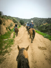 groupe de personnes faisant une promenade à cheval sur les chemins des collines d'Hollywood