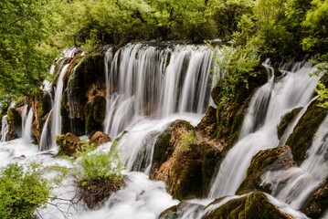 Scenic view of a forest with a waterfall in Jiuzhaigou, Sichuan Province, China.