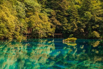 Scenic view of a forest with a lake in Jiuzhaigou, Sichuan Province, China.