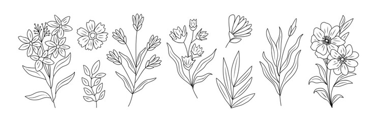 Set of tiny wild flowers and plants line art vector botanical illustrations. Trendy greenery hand drawn black ink sketches collection. Modern design for logo, tattoo, wall art, branding and packaging. - obrazy, fototapety, plakaty