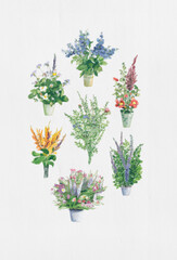 Watercolor flowers and herbs in pots on a white background. Set of elements
