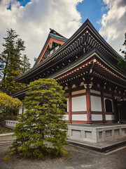 Fototapeta premium Architecture Of A Pagoda On a Cloudy Day 